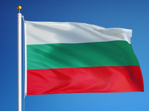 Aggiunto Russo e Bulgaro al software EOBD2.