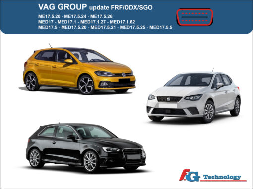 VAG Gasoline Update/Restore original with FRF/ODX/SGO files